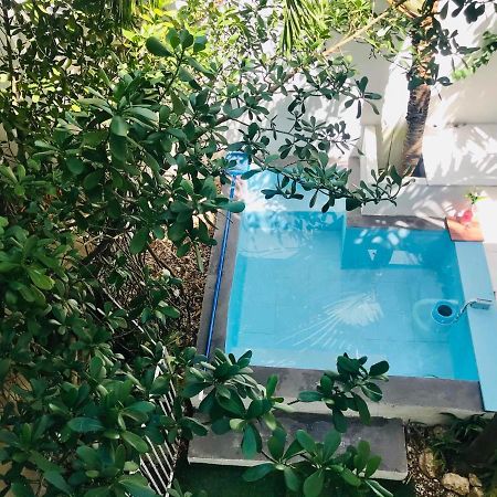 Cozy Tiny Studio Acasadialexplayadelcarmen Playa del Carmen Buitenkant foto
