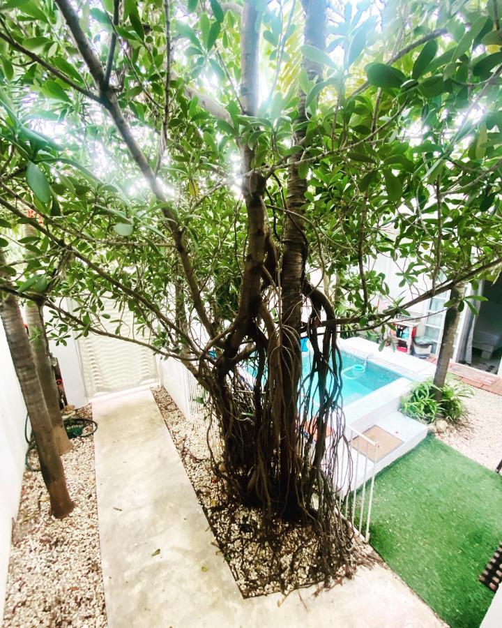 Cozy Tiny Studio Acasadialexplayadelcarmen Playa del Carmen Buitenkant foto