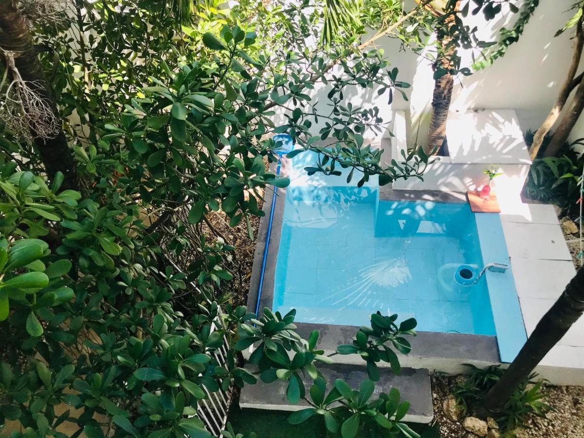 Cozy Tiny Studio Acasadialexplayadelcarmen Playa del Carmen Buitenkant foto