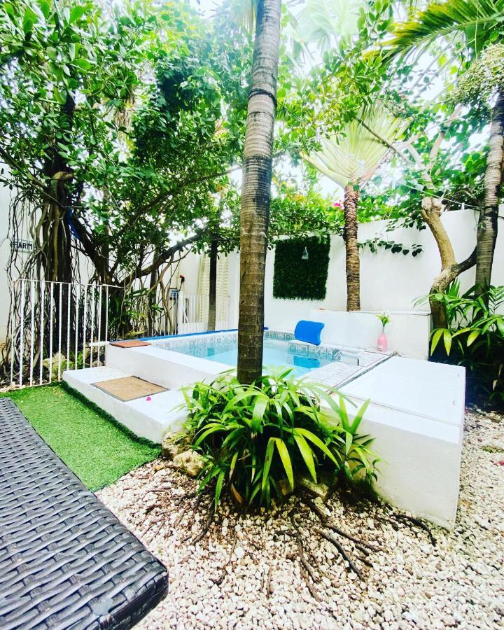 Cozy Tiny Studio Acasadialexplayadelcarmen Playa del Carmen Buitenkant foto