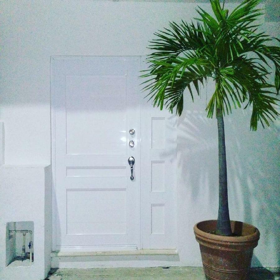 Cozy Tiny Studio Acasadialexplayadelcarmen Playa del Carmen Buitenkant foto